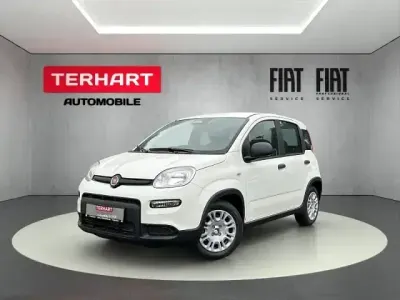 Brugt Fiat Panda 69 HK (50 kW) 2024 Hvid Hatchback