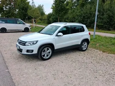 Gebraucht VW Tiguan LOUNGE 150 PS (110 kW) 2015 Weiß SUV