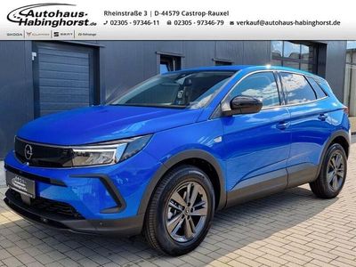 Gebraucht Opel Grandland X Business Edition 131 PS (96 kW) 2022 Blau SUV
