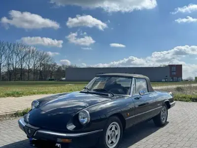 Gebraucht Alfa Romeo Spider 126 PS (92 kW) 1986 Schwarz Cabrio