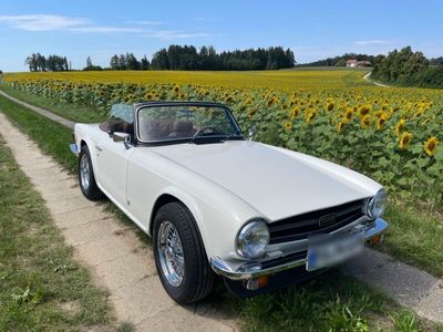 gebraucht Triumph TR6 Cabrio Overdrive