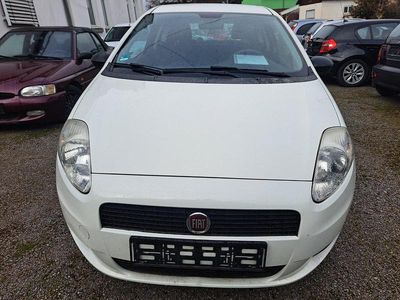 Gebraucht Fiat Punto 69 PS (50 kW) 2012 Weiß Kleinwagen