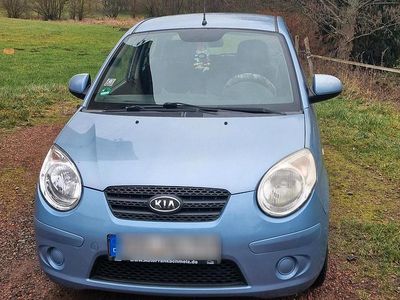 Blau Gebraucht 2009 Kia Picanto Kleinwagen | 850 € (Fairer Preis)