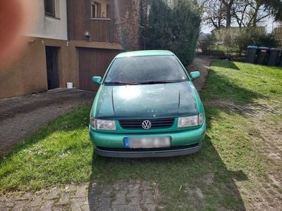 VW Polo