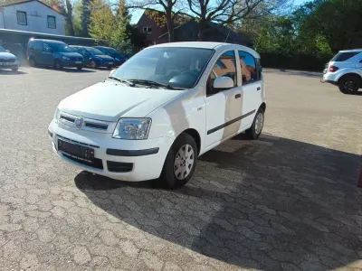 Usata Fiat Panda Dynamic 60 CV (44 kW) 2010 Bianco Utilitaria