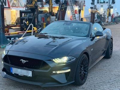 Gebraucht Ford V8 449 PS (330 kW) 2023 Grau Cabrio