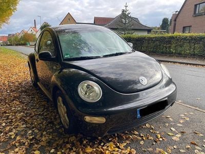 VW Beetle