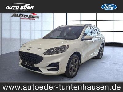 Gebraucht Ford Kuga ST-Line X 190 PS (139 kW) 2023 Frostweiß (metallic) SUV