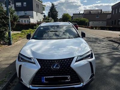 Gebraucht Lexus UX 250h 184 PS (135 kW) 2020 Weiß SUV