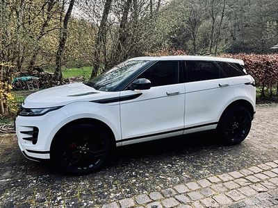 Gebraucht Land Rover Range Rover evoque SE Dynamic 204 PS (150 kW) 2023 Weiß SUV