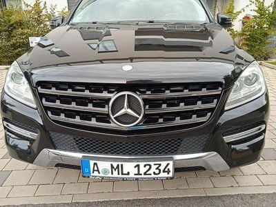 Mercedes ML250