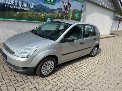 Silber Gebraucht 2003 Ford Fiesta Basis Kleinwagen | 2.990 € (Etwas zu teuer)