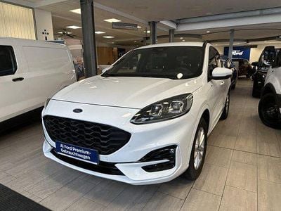 Gebraucht Ford Kuga ST-Line X 190 PS (139 kW) 2023 Weiß SUV