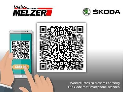 Gebraucht Skoda Fabia Tour 95 PS (69 kW) 2022 Grau Kleinwagen