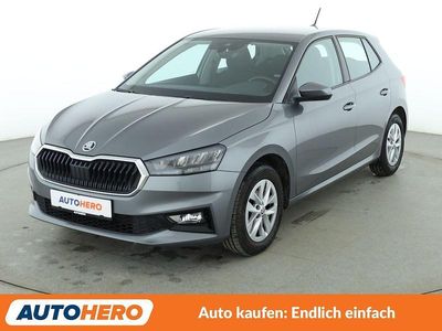 Gebraucht Skoda Fabia Selection 95 PS (69 kW) 2023 Grau Kleinwagen