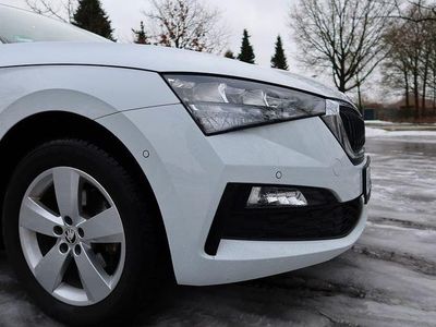 Gebraucht Skoda Scala Drive 150 PS (110 kW) 2020 Weiß Kleinwagen