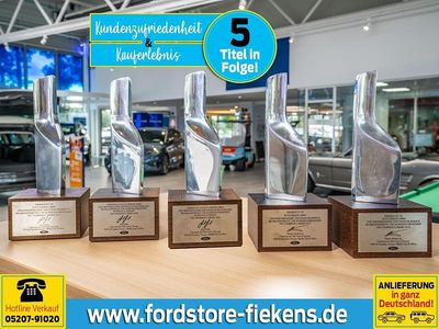 Gebraucht Ford Transit Trend 125 PS (91 kW) 2024 Weiß Van