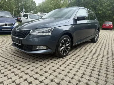 Gebraucht Skoda Fabia Drive 60 PS (44 kW) 2020 Grau Kleinwagen