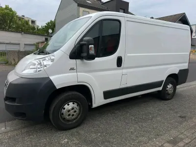 Używany Fiat Ducato 2012 Biały Van