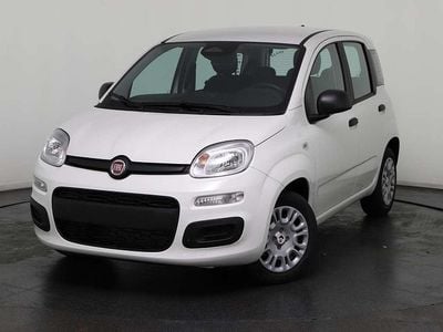 Neu Fiat Panda 69 PS (50 kW) 2025 Weiß Kleinwagen
