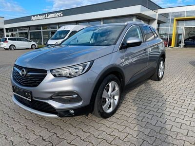 gebraucht Opel Grandland X Dynamic *NAVI *TEMPOMAT