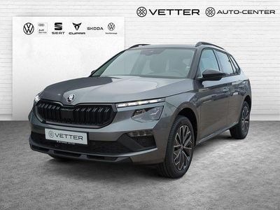 Grau Neu 2026 Skoda Kamiq Tour SUV | 29.699 € (Etwas zu teuer)