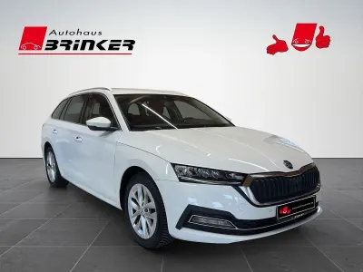 Gebraucht Skoda Octavia First Edition 150 PS (110 kW) 2021 Moonweiß perleffekt Kombi