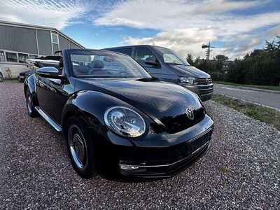 VW Beetle