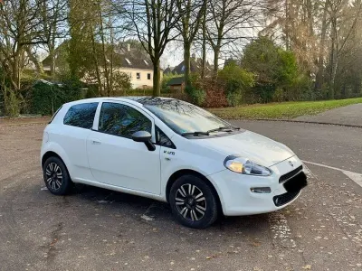 Gebraucht Fiat Punto Young 77 PS (56 kW) 2015 Weiß Kleinwagen