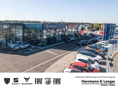 Gebraucht Seat Ibiza Business 116 PS (85 kW) 2018 Grau Kleinwagen