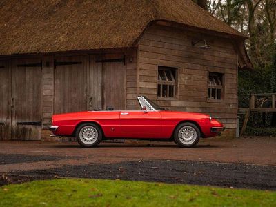 Gebraucht Alfa Romeo Spider Veloce 128 PS (94 kW) 1982 Rot Cabrio