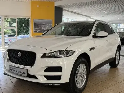 Gebraucht Jaguar F-Pace Pure 180 PS (132 kW) 2016 Weiß SUV