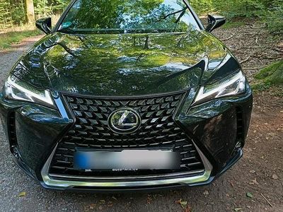 Lexus UX 250h