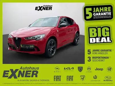 Gebraucht Alfa Romeo Stelvio Quadrifoglio 520 PS (382 kW) 2024 Rosso alfa SUV