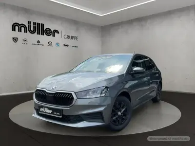 Gebraucht Skoda Fabia Ambition 110 PS (80 kW) 2021 Grau Kleinwagen