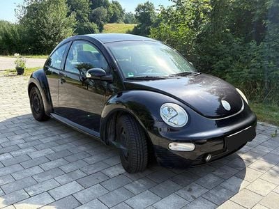 VW Beetle