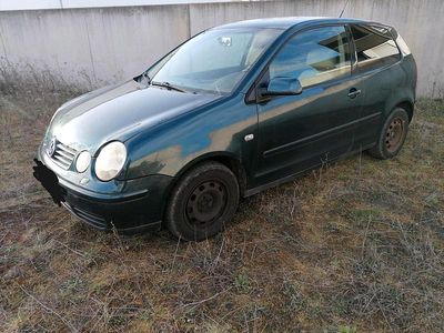 Gebraucht VW Polo 54 PS (39 kW) 2003 Grün Kleinwagen