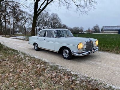 gebraucht Mercedes W112 300SE Heckflosse Rallywagen