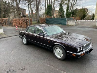 gebraucht Jaguar XJ6 X300 Executive Sovereign Sehr gepflegt