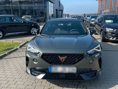 gebraucht Cupra Formentor VZ Tribe Edition 245 EZ 2024