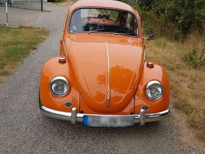 gebraucht VW Käfer Baujahr 1972 Sparkäfer