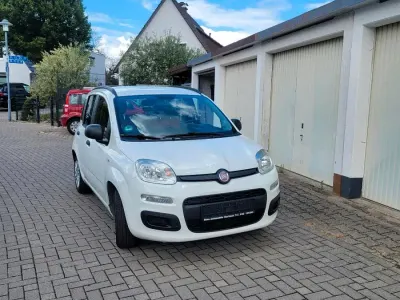 Gebraucht Fiat Panda Easy 69 PS (50 kW) 2014 Weiß Kleinwagen