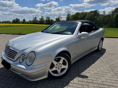 Mercedes CLK320
