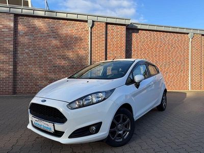 Gebraucht Ford Fiesta Trend 75 PS (55 kW) 2016 Weiß Kleinwagen