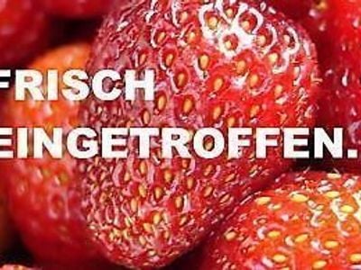 Gebraucht Dodge Caliber SE 150 PS (110 kW) 2007 Rot Kleinwagen