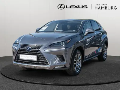 Brugt Lexus NX300h E-FOUR Executive Line 197 HK (144 kW) 2020 Grå SUV