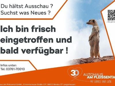 Gebraucht Skoda Kamiq 110 PS (80 kW) 2021 Silber SUV