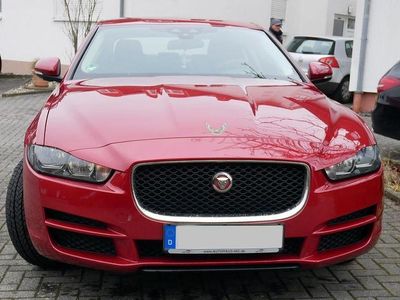 Gebraucht Jaguar XE Pure 179 PS (131 kW) 2016 Rot Limousine