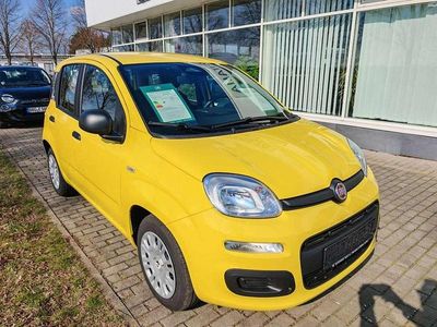 Neu Fiat Panda Pop 65 PS (47 kW) 2026 Positano gelb Kleinwagen