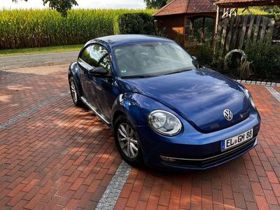VW Beetle